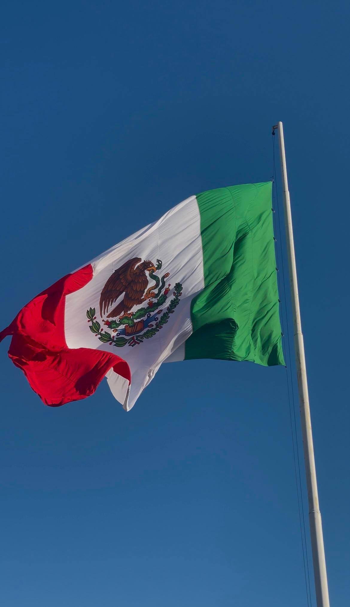 Imagen de Galería del Municipio 6